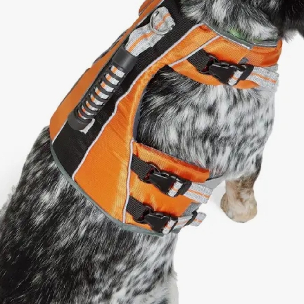 Orange Dog Life Jacket